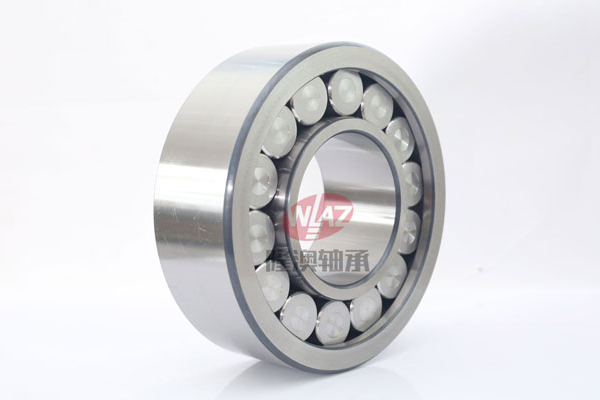 滿(mǎn)裝滾子(zi)SL1923系列