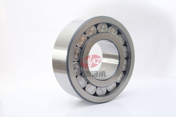 滿(mǎn)裝滾子(zi)SL1923系列